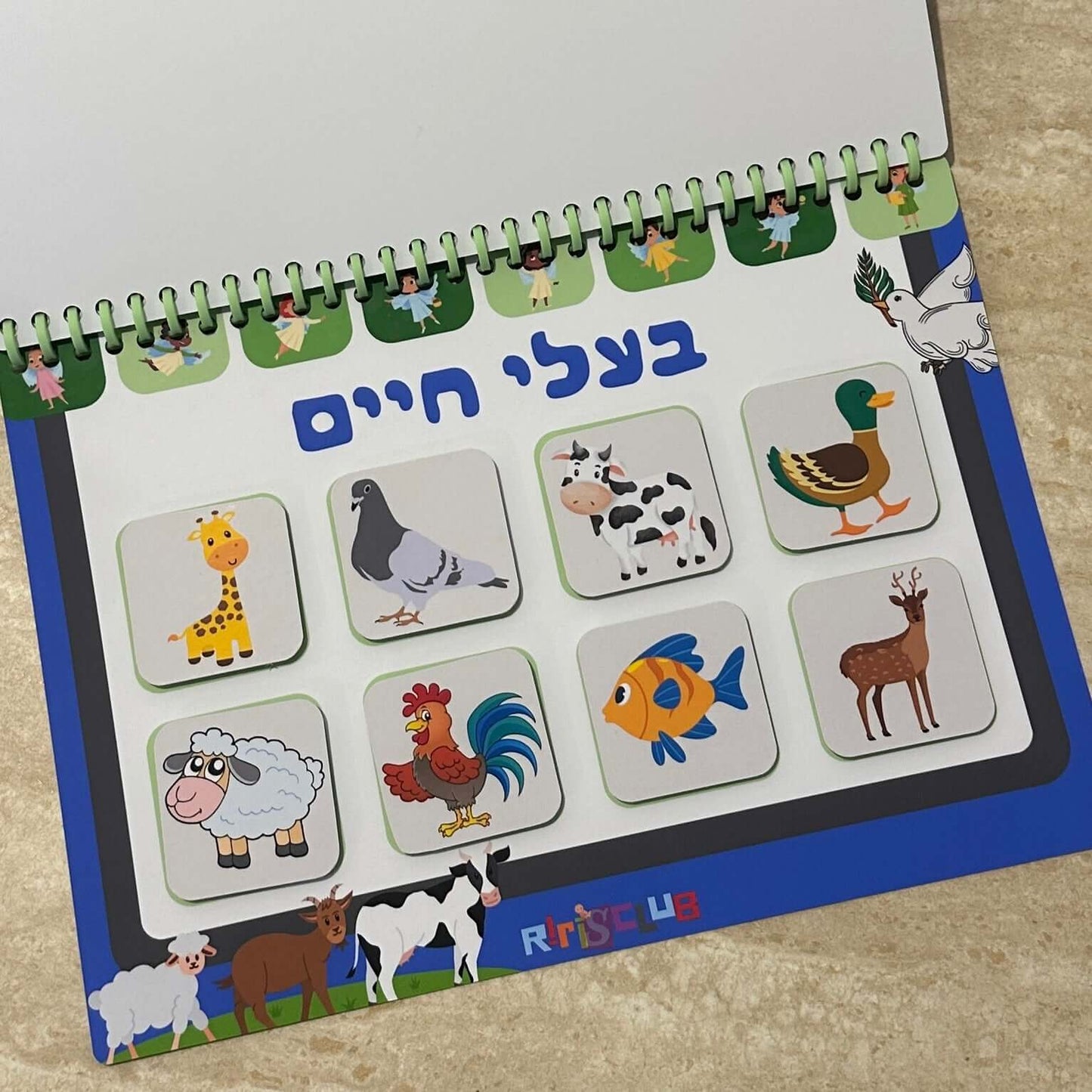 ארץ החסד