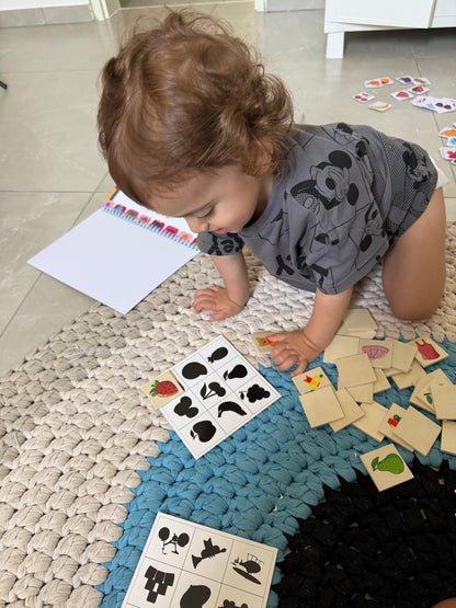 התאמת תמונה לצל